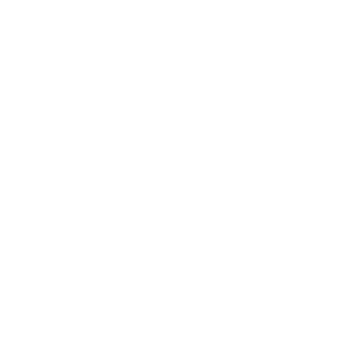Icon of a shield